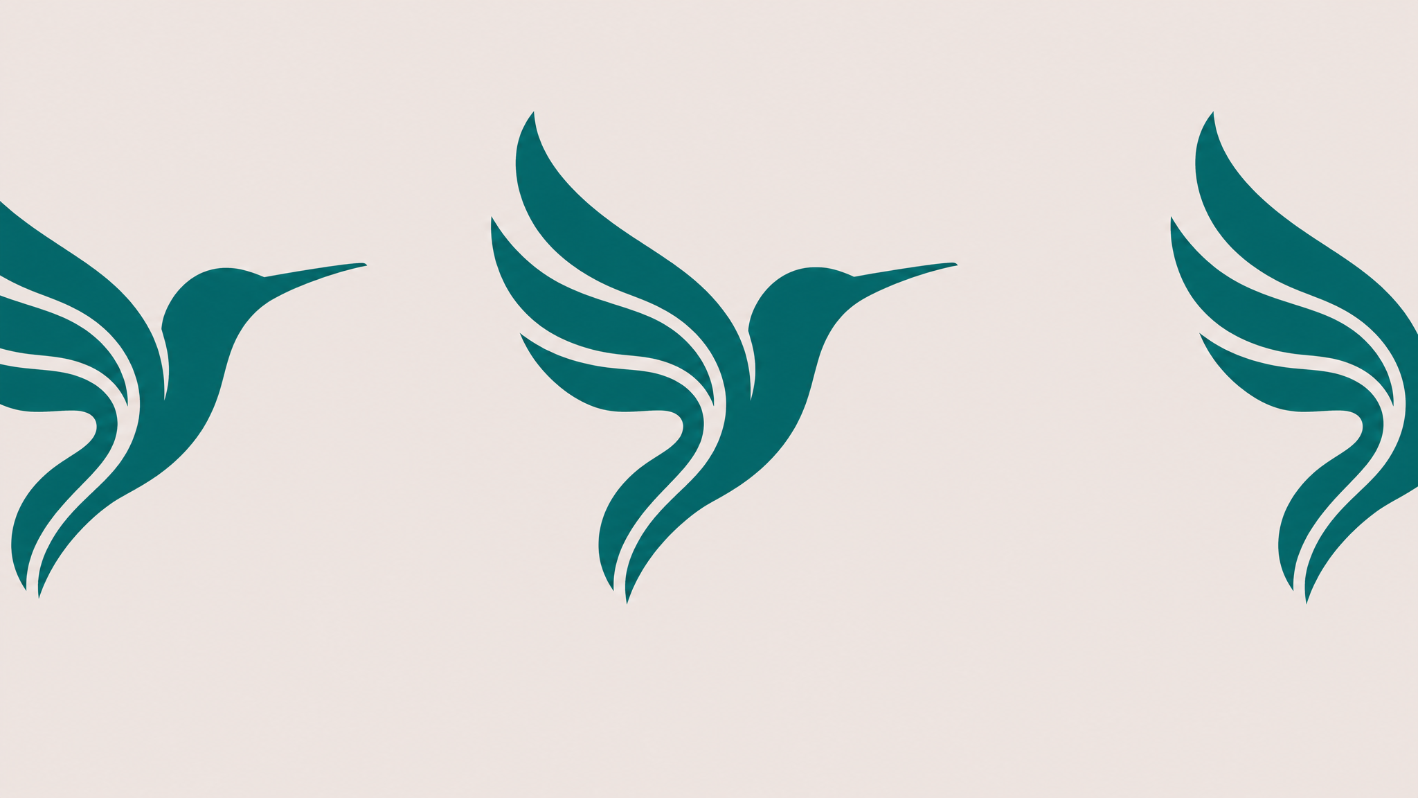 Aleph Alpha releases Kolibri, an open-weight model that makes the case for European AI sovereignty