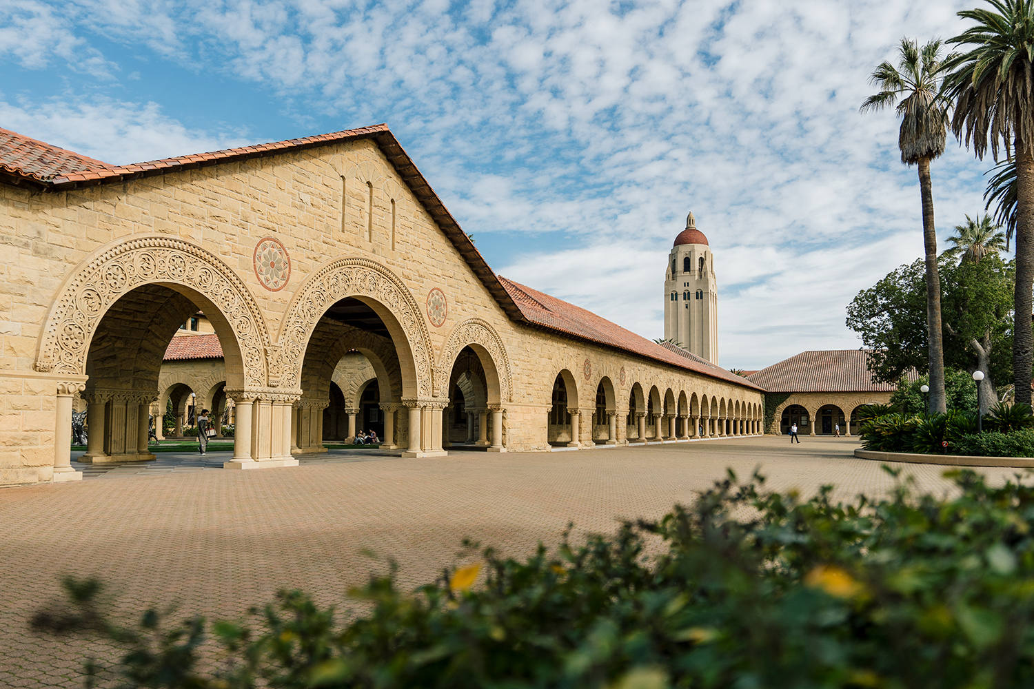 Faculty honored for contributions to undergraduate education