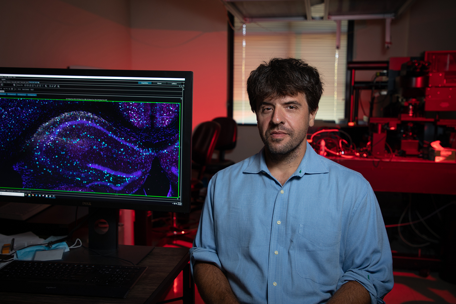 How light became a tool for studying the brain