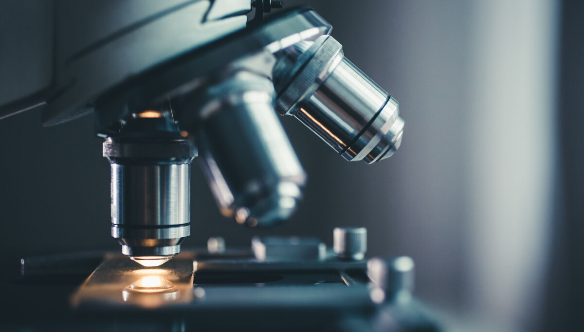 Argonne scientists create chatty X-ray microscope that zooms in where you tell it to