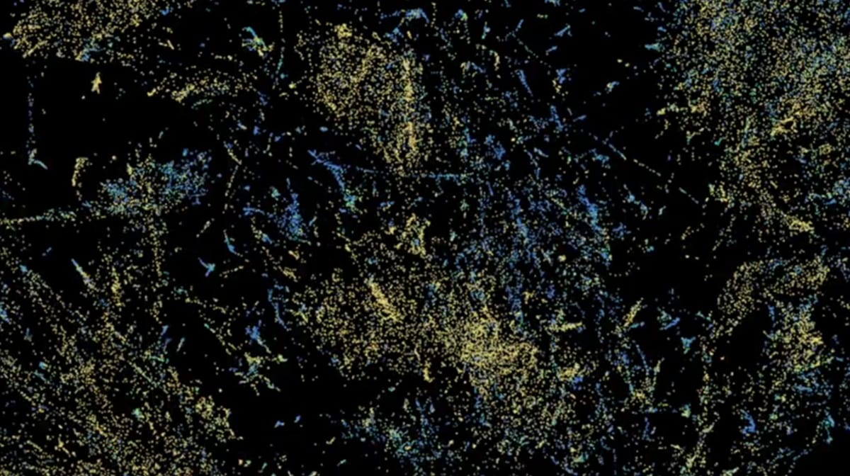 AI's next frontier is the human cell
