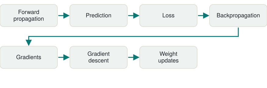 Why Neural Networks Overfit: Regularization, Dropout, and Early Stopping Explained