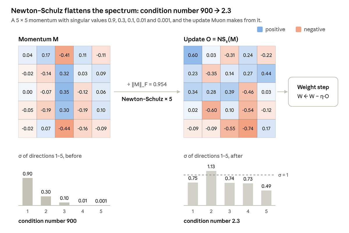 Muon: The Orthogonalized Optimizer Explained Through Equations, Intuition, Code and Results