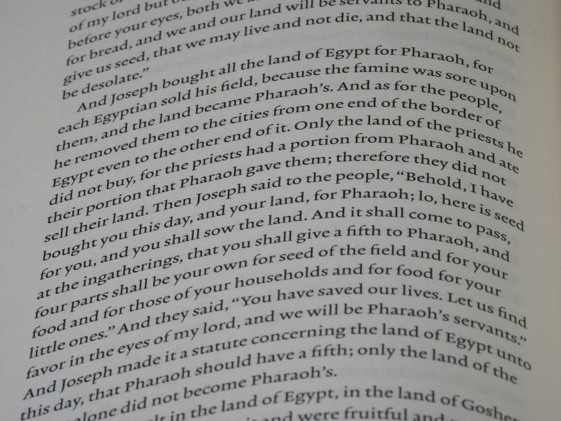 Your LLM Has a Curved Space of Paragraphs