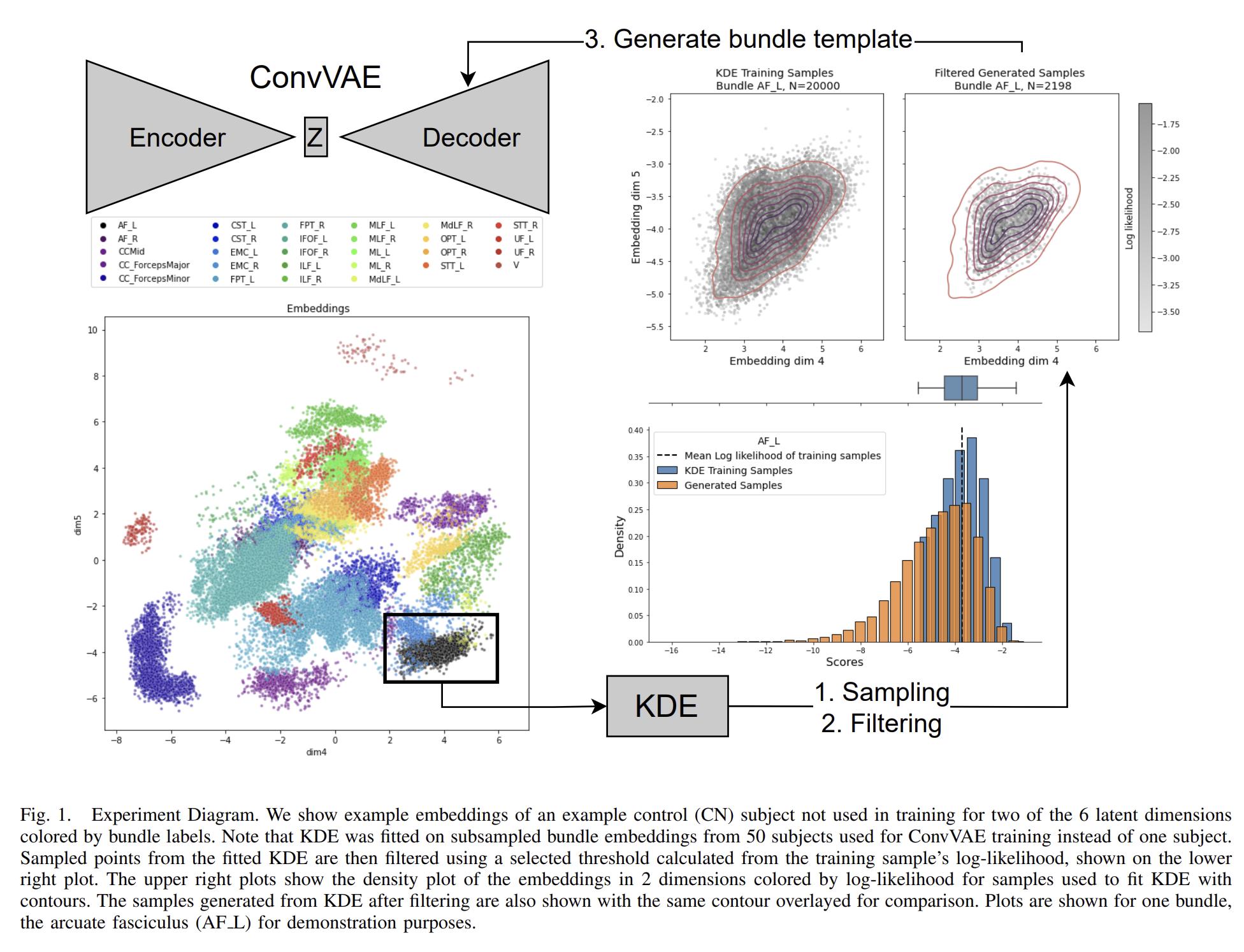 Variational Autoencoders for Generating Synthetic Tractography-Based Bundle Templates in a Low-Data Setting