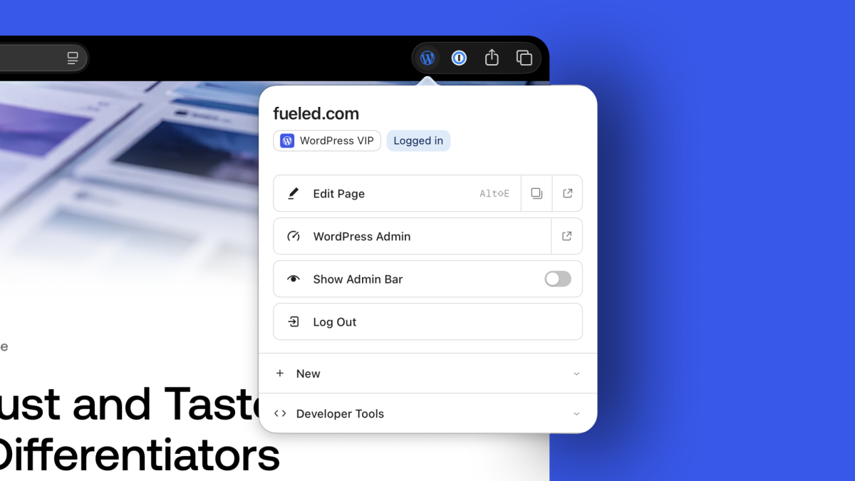 Introducing the WordPress Browser Extension