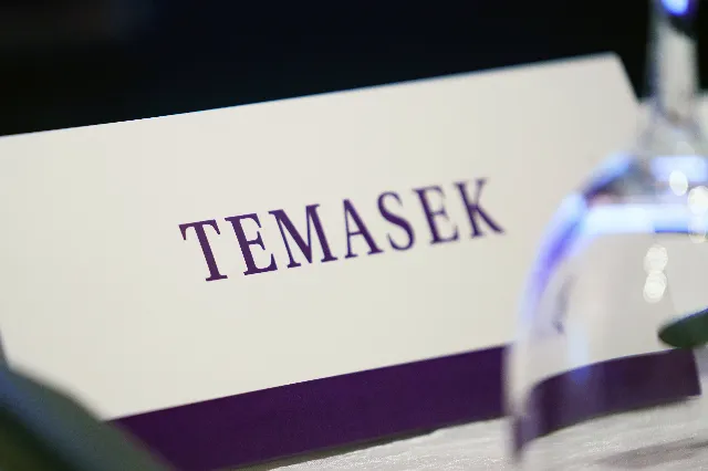 Temasek Warns AI Trade Reversal Could Jolt Markets in 2027 as Half of Russell 3000 Lags