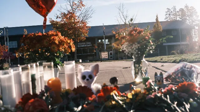 US School Shootings Reach 149 in 2026, Still Far Above Pre-Covid Average