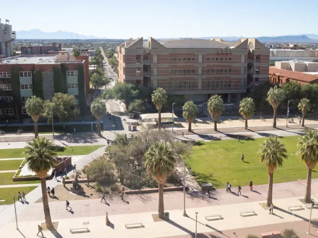 University of Arizona Suspends 21 Fraternity Chapters Over Misconduct Reports