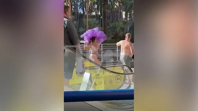 Las Vegas Showgirls Arrested After $20 Tip Brawl Injures 2 Tourists