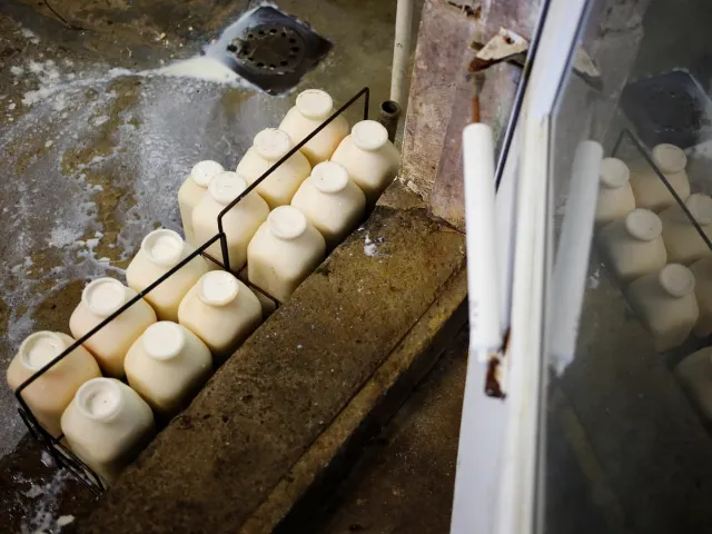 Pediatricians Urge US Raw Milk Ban After 100 Illnesses and 11 Hospitalizations
