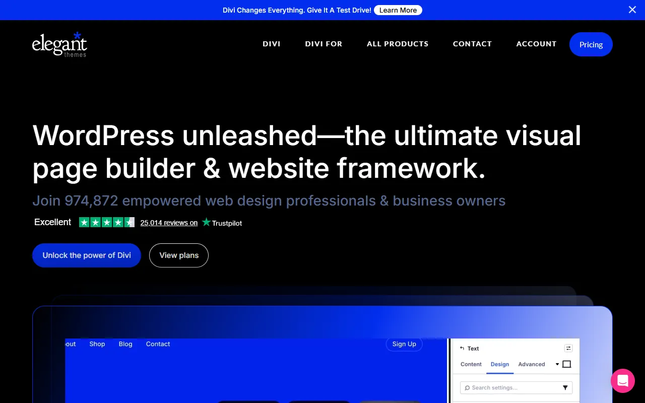 Divi website screenshot