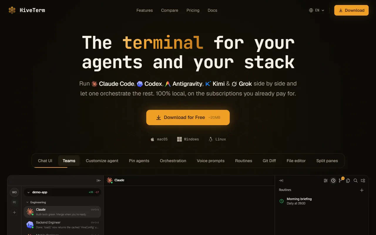 HiveTerm website screenshot