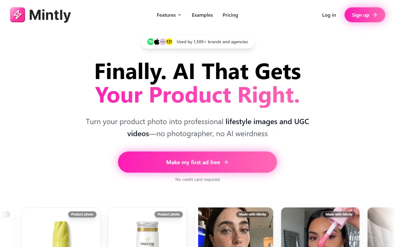 Mintly website screenshot