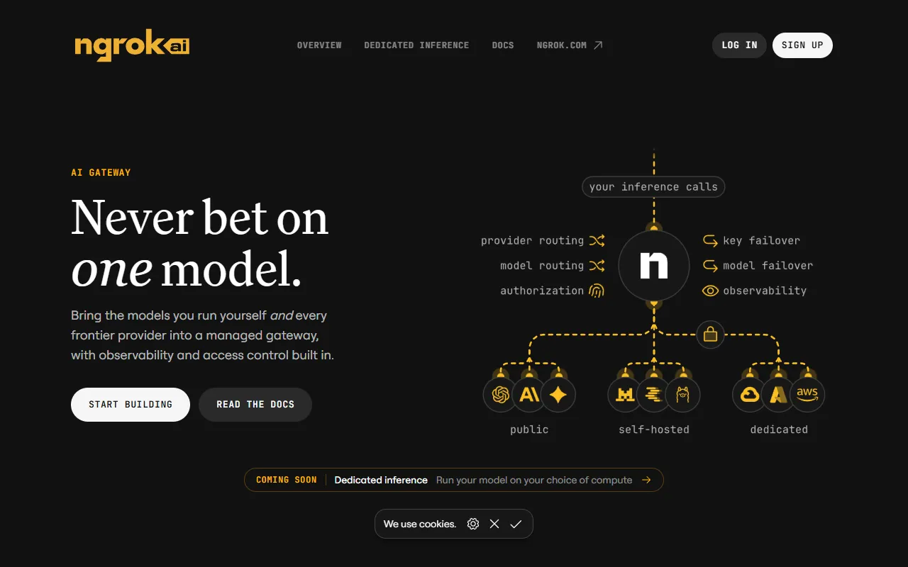 ngrok AI Gateway website screenshot