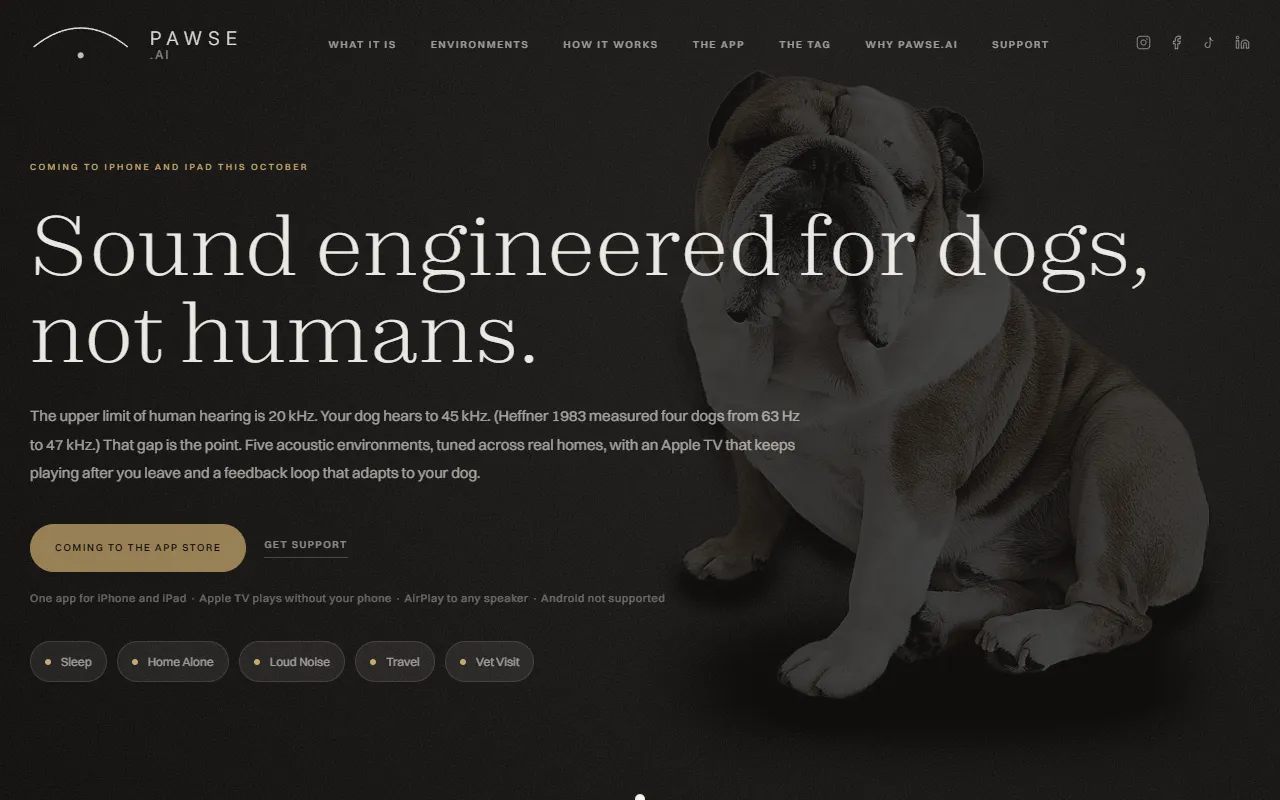 Pawse.ai website screenshot