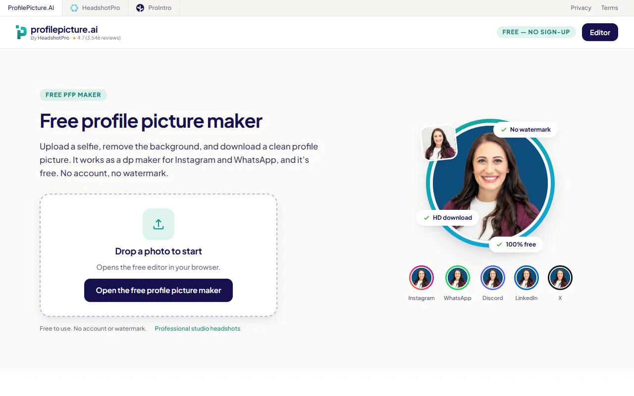 Profile Picture AI website screenshot