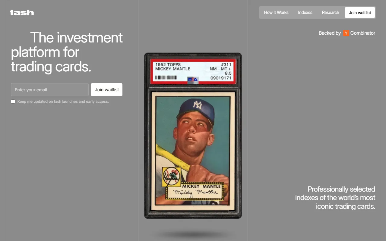 tash website screenshot