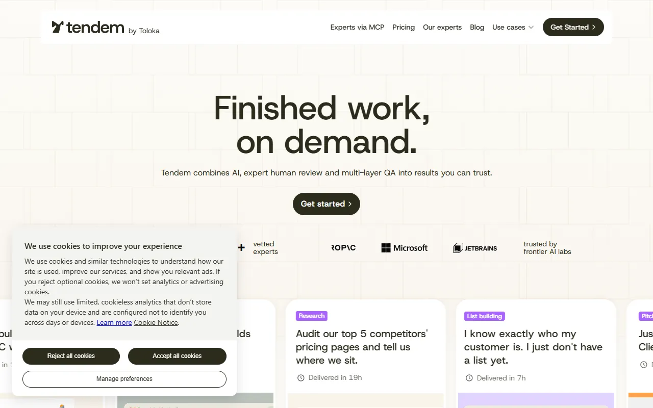 Tendem by Toloka website screenshot
