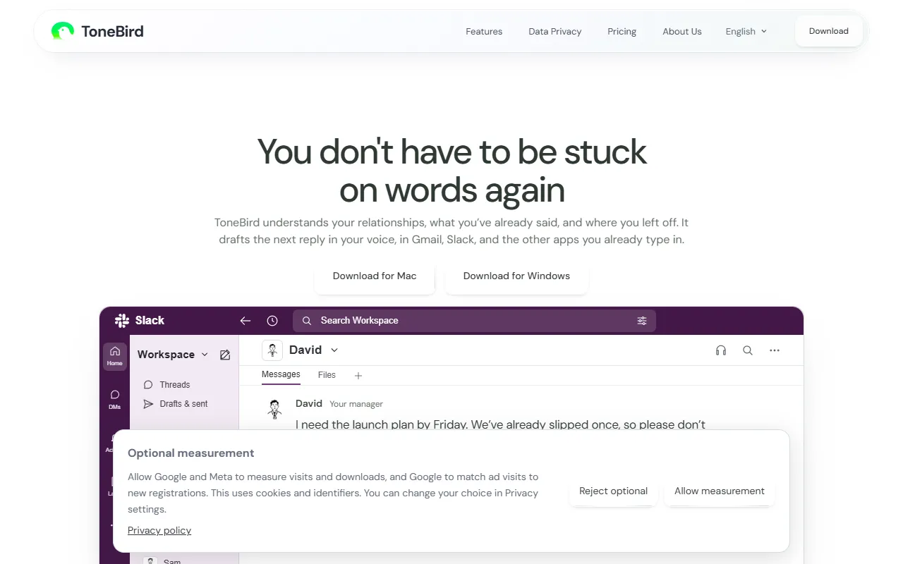 ToneBird website screenshot