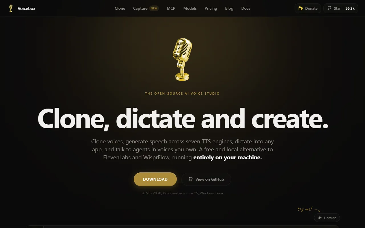 Voicebox website screenshot
