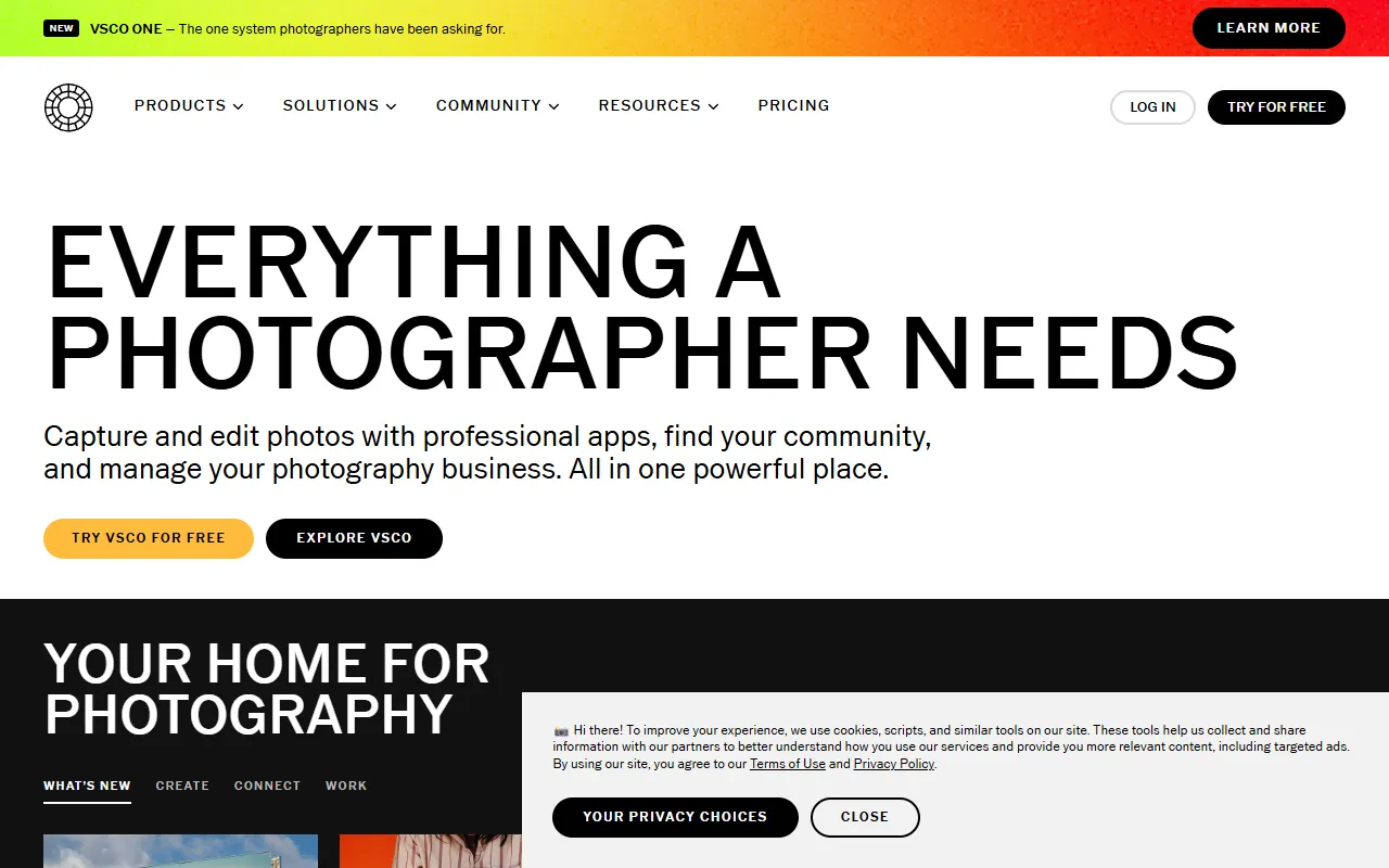 VSCO website screenshot