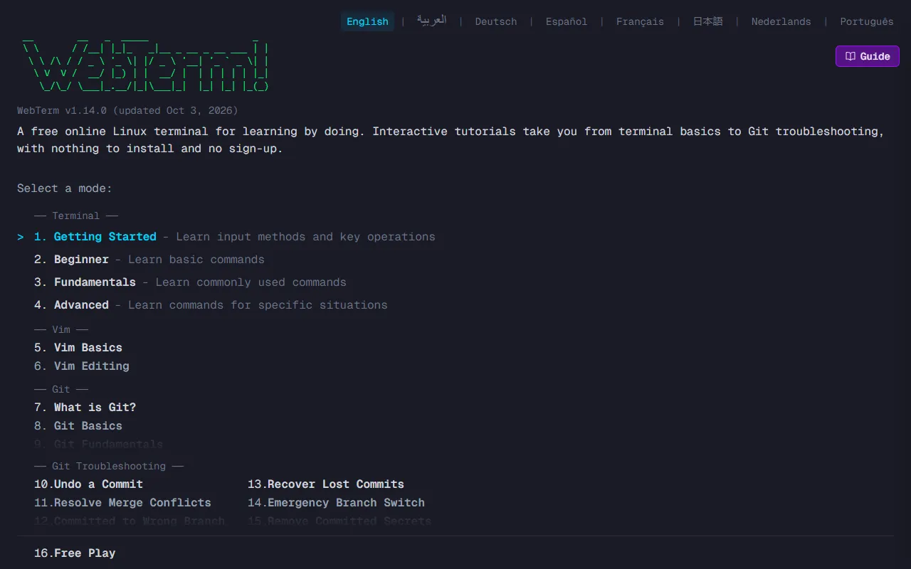 WebTerm website screenshot